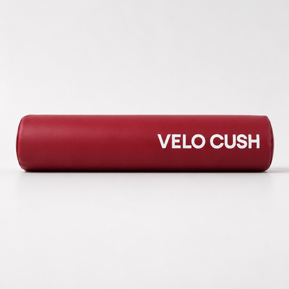 Classic e-bike cushion